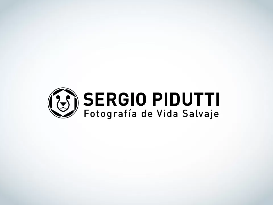 SergioPidutti_Puma